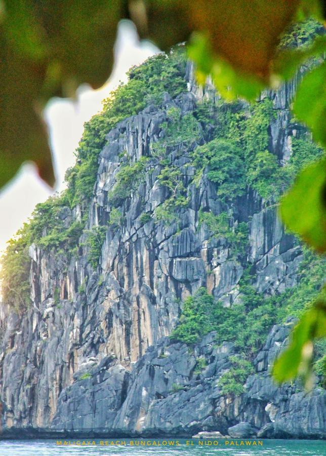 Maligaya Beach Bungalows El Nido Εξωτερικό φωτογραφία